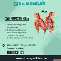 Piles Ayurvedic 8010931122