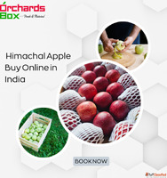 Himachal Apple Buy Online in India - Fresh Farm Apples at Yo...