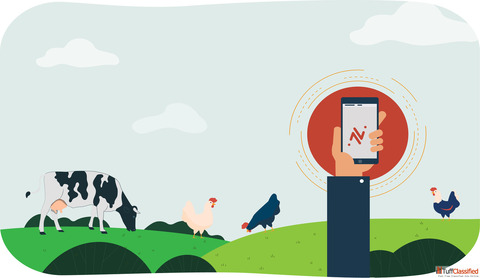 Boost Profits with Smart Livestock and Dairy Farm Management