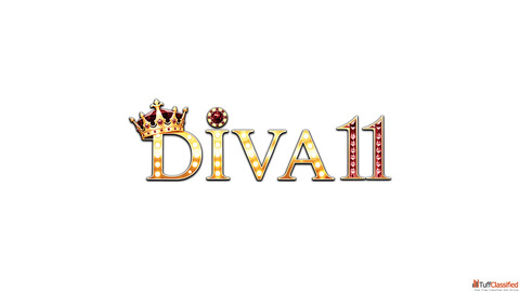 DIVA11