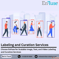 Choose EnFuse for Scalable Image Text and Video Labeling Ser...