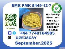 Trusted B.M.K P.M.K CAS 5449-12-7-Precision-Sourced for Indu...