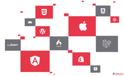 Best Website Design Agency In Kolkata- Brandwizz Communicati...