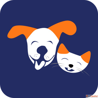 Dog Grooming Service - By ThePetNest