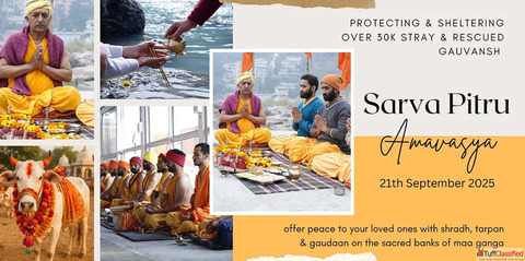 Sarva Pitru Amavasya at Krishnayan Honouring Ancestors through Seva Spiritual Rituals