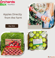 Apples Directly from the Farm - Freshness You Can Taste