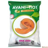 Buy Farm-Grade Muskmelon Seeds Direct Online