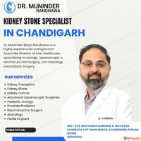 Kidney Stone Specialist in Chandigarh