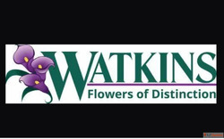 Watkins Flowers of Distinction - Raleigh Flower Delivery