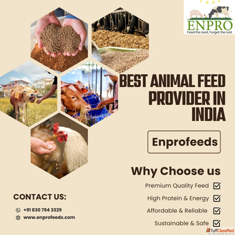 animal feed provider in india