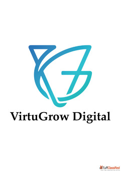 Virtugrow Best Digital Marketing Company in Lucknow.