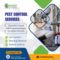 Affordable Pest Control in Bhubaneswar - Top Services Prices