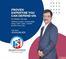 Expert Financial Planner Services ShreeMaa Investment