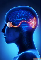 Stem Cell Therapy for Optic Nerve Atrophy