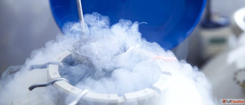 Best Semen Freezing Services in Bangalore