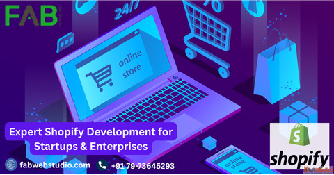 Professional Shopify Development for Startups Enterprises