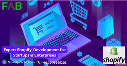 Professional Shopify Development for Startups Enterprises