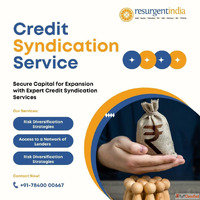 Are You Looking for Credit Syndication Services