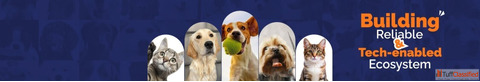 Dog Grooming Hyderabad - 2025