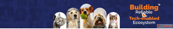 Dog Grooming Hyderabad - 2025