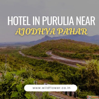 ajodhya pahar hotels