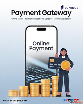 Online Payment Gateway in noida
