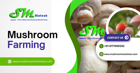 Mushroom Farming Made Easy with MushroomMachines
