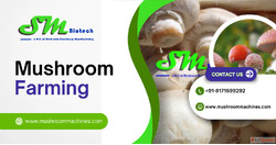 Mushroom Farming Made Easy with MushroomMachines