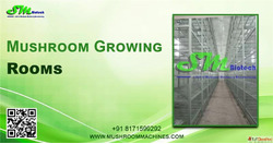 Premium Mushroom Growing Rooms - MushroomMachines