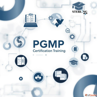 Strategic Program Leadership with PgMP