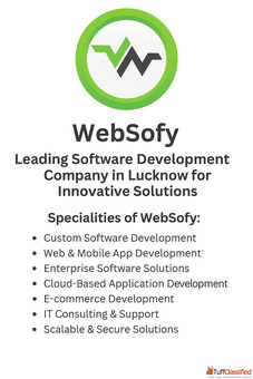 Top-Rated Software Development Company in Lucknow
