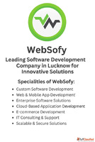 Top-Rated Software Development Company in Lucknow