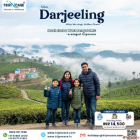 Darjeeling in Winter A Snowy Escape to the Queen of Hills