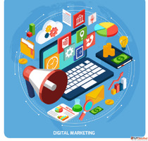 Website Designing Course in Panchkula