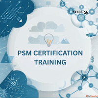 Guide Agile Teams with PSM Certification