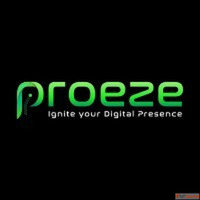 Drive Instant Traffic Conversions with Proeze's PPC Mar...