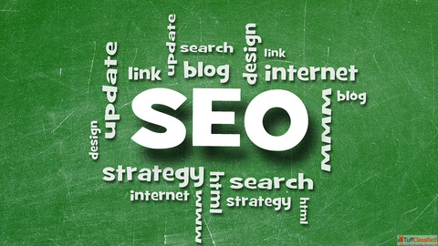 Top SEO Company in Delhi for Ranking Online Growth