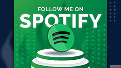 Why Is Spotify Premium APK Not Downloading Songs Offline