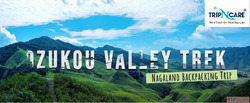 Dzukou Valley Trek A Paradise in Nagaland's Hills