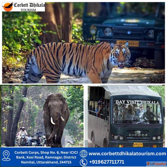 Adventure Awaits with Jeep Safari Booking in Corbett