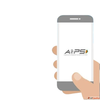 AEPS API Provider