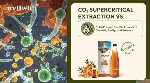 CO2 Extracted Sea Buckthorn Oil For Maximum Benefits