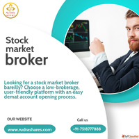 Stock Market Broker in Bareilly - Lowest Brokerage Fast Serv...