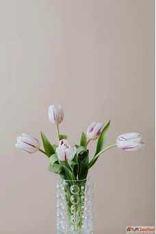 Fresh Mini Flower Bouquet - Perfect Gift Idea