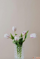 Fresh Mini Flower Bouquet - Perfect Gift Idea