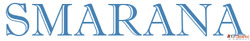 Why a Secure Data Storage App Like Smarana Is the Future of ...