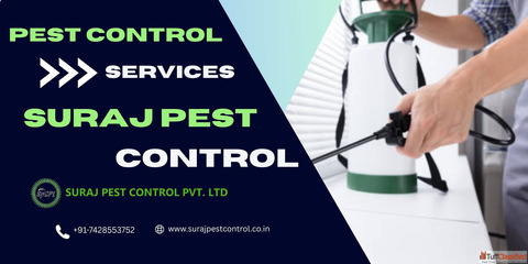 Trusted Pest Control Servic Provider in Dwarka