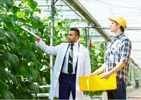 BSc Agriculture Subjects Fees and Career Scope