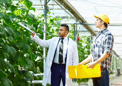 BSc Agriculture Subjects Fees and Career Scope