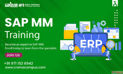Best Digital Marketing Institute in Gurgaon Croma Campus Noi...